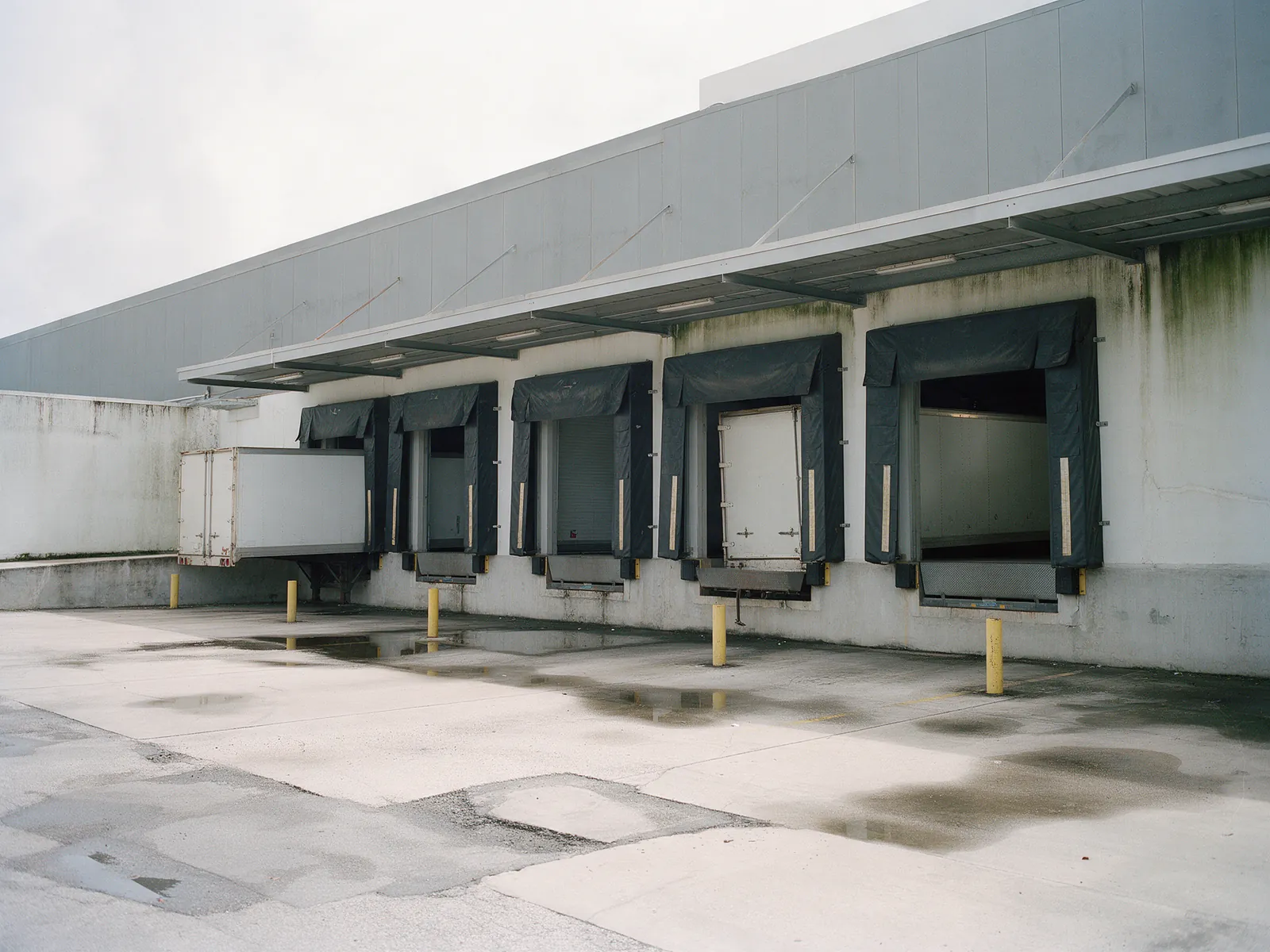 Illustration: a warehouse loading dock with dock shelters and container trailers